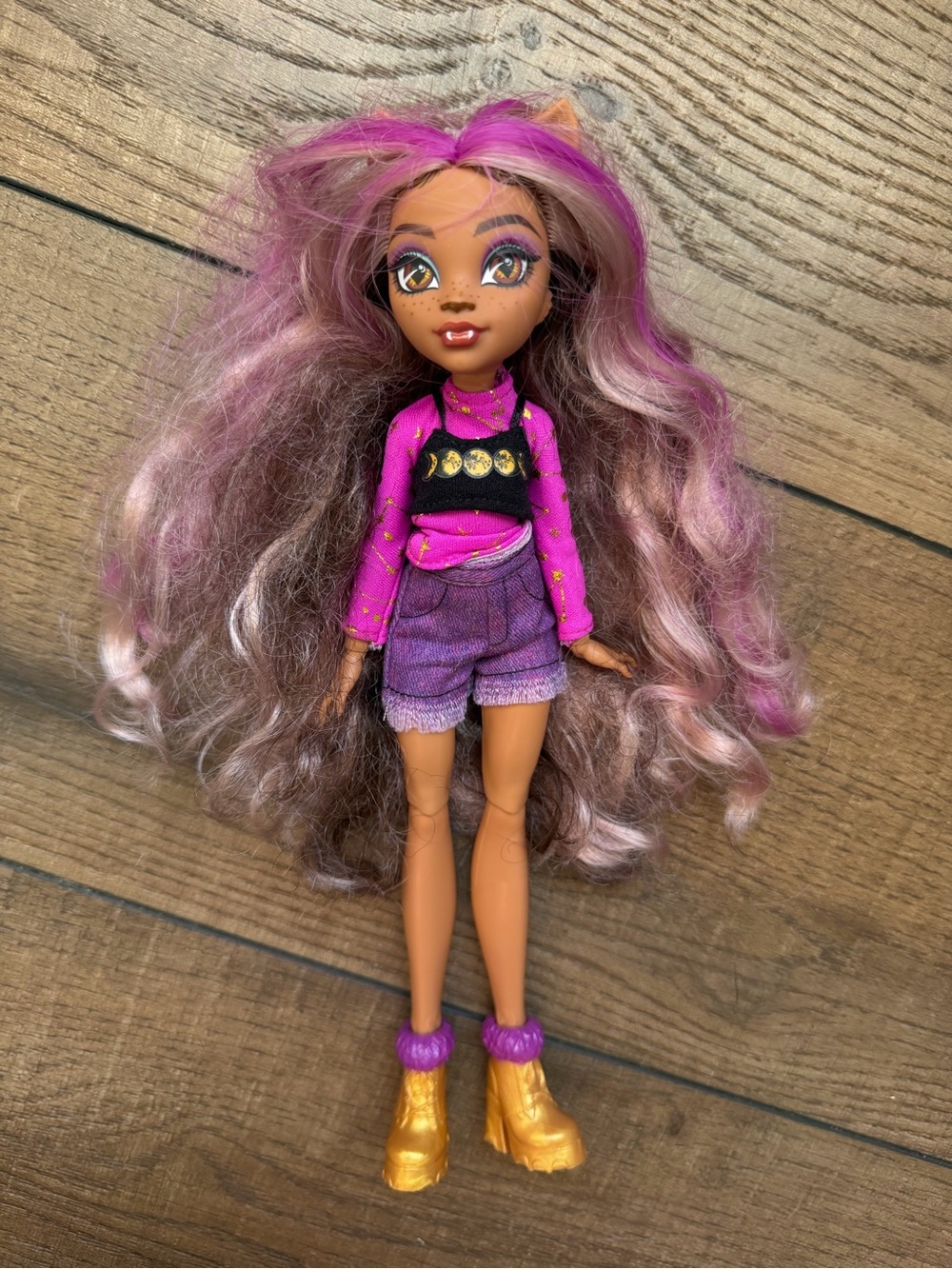 Monster High Clawdeen Wolf Day Out Doll Mattel Fashion Doll G3 Werewolf Toy 11”
